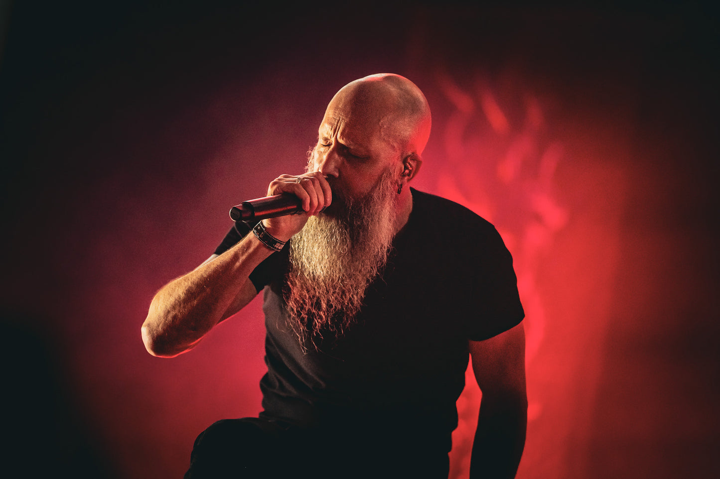 Meshuggah, 2025